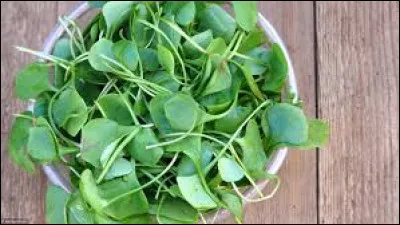 Km 42,5 : Thuré. Quelle femme politique en a été le maire (20 mars 1977  13 mars 1983) avant de se retrouver à la tête du gouvernement (15 mai 1991  2 avril 1992) ?