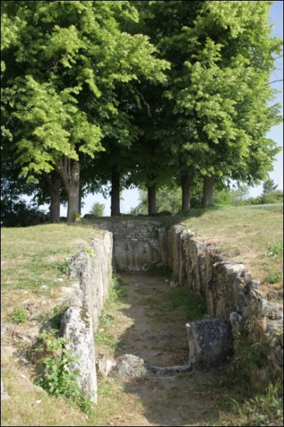 Quel est le nom de cette allée sépulcrale située à Brueil-en-Vexin dans les Yvelines ?