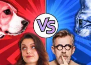 Test Chat VS Chien !