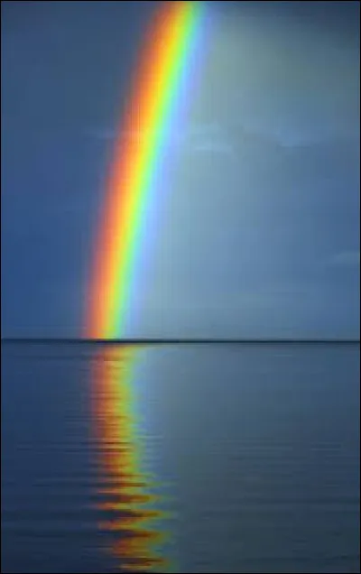 Quelle est ta couleur préférée parmi celles-ci ?