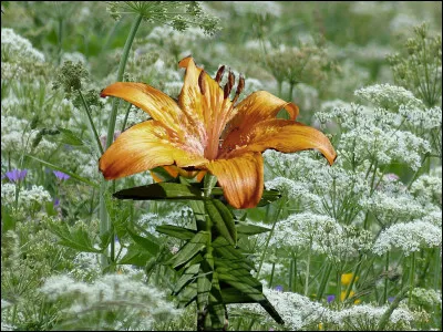 Au final, qui Catherine aime-t-elle ?