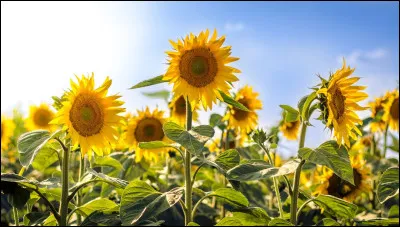 Combien de livres a-t-elle publiés ?