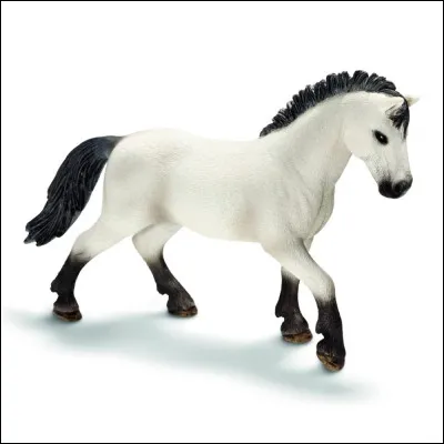 M&ecirc;me question. Quelle est la race ET la date de sortie de ce cheval ?