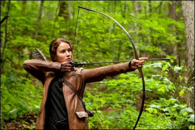 De quelle série littéraire et cinématographique ''Katniss''avec son arc et ses flèches comme fidèles compagnons est-elle un personnage emblématique ?