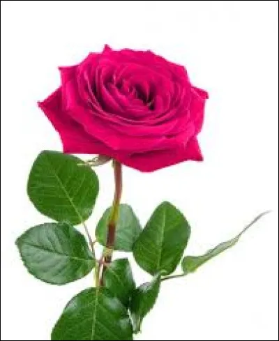 Quel chanteuse associez-vous à cette image ?