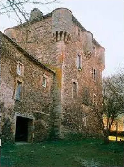 Aujourd'hui nous démarrons notre balade en Occitanie, au château de Balaguier-sur-Rance. Village de l'arrondissement de Millau, sur les bords du Rance, il se situe dans le département ...