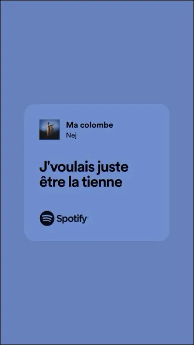 Quel surnom ses fans donnent-ils souvent à Nej ?