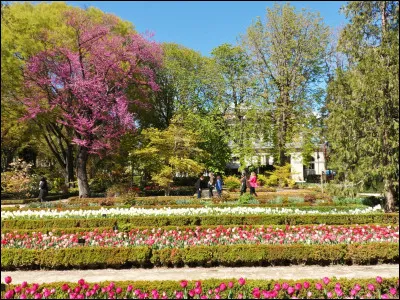 As-tu un beau jardin ?