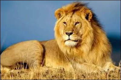 En astrologie, quelle est la période de naissance d'une personne du signe du lion ?
