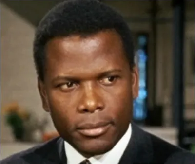 Qui est cet acteur qui joue le premier r&ocirc;le dans le film ''Le Lys des champs'' ?