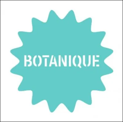 Quelle est la famille botanique du lys ?