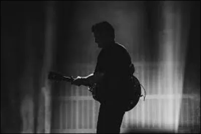 Quel chanteur canadien est l�interpr&egrave;te du titre ''Les lys blancs'' ?