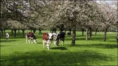 A qui associez vous cette image ?