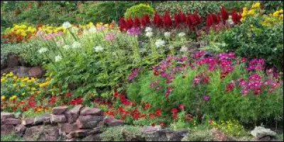 Quelle chanteuse associez-vous à cette image ?