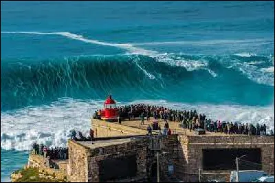 Quelle est cette ville du Portugal, paradis des surfeurs où les vagues peuvent atteindre 30 m de haut ?
