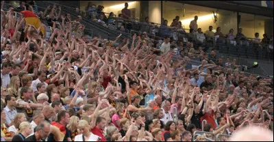 Quel est le nom de cette vague, mouvement de foule, semblable à la houle, qui se manifeste principalement dans les stades ?