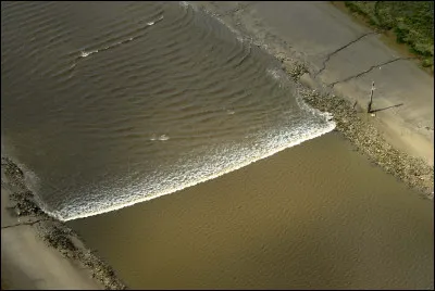Quel est le nom de ce phénomène qui se caractérise par une vague plus ou moins haute et qui remonte le cours d'un fleuve ?