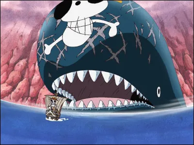 Comment s'appelle cette baleine ?