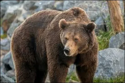 Km 55,9 : La Font de l'Arbre. C'est sous un arbre que sourdait une fontaine, c'est l'origine du nom. Ce village a été absorbé par la ville voisine, quelle est-elle ?
