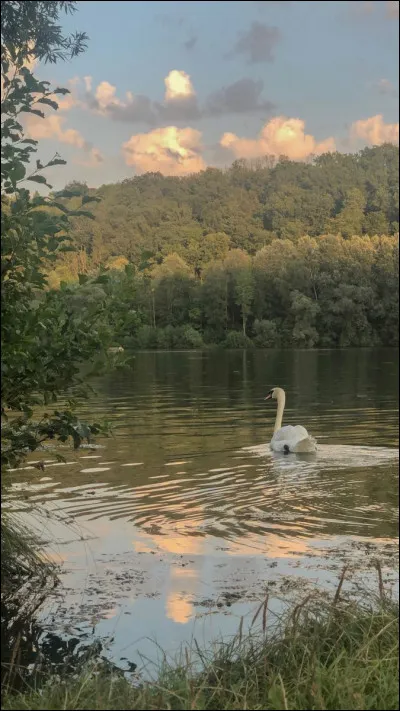 Face à un problème, tu :