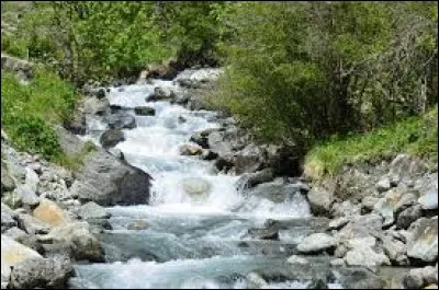 Quel chanteur associez-vous à cette image ?