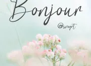 Quiz Les bonjours du monde !