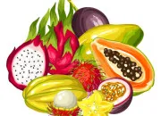 Quiz Fruits originaux