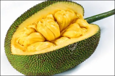 Quel est ce fruit, le plus gros du monde produit par un arbre fruitier le jacquier. Fruit qui remplace la viande pour les adeptes végétariens et végans ?