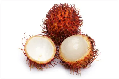 Quel est ce fruit tropical à peau fibreuse et à pulpe collée au noyau ?