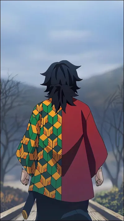 Pourquoi son haori est-il de couleur différente ?