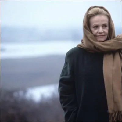 Quelle actrice est à l'affiche du film "Le Pas suspendu de la cigogne" en 1991 ?