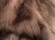Test Quel animal tes-vous ?