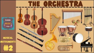 De quel instrument joue Slash ?