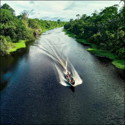 Le taux de mortalité infantile est élevé à cet endroit, pourquoi ?