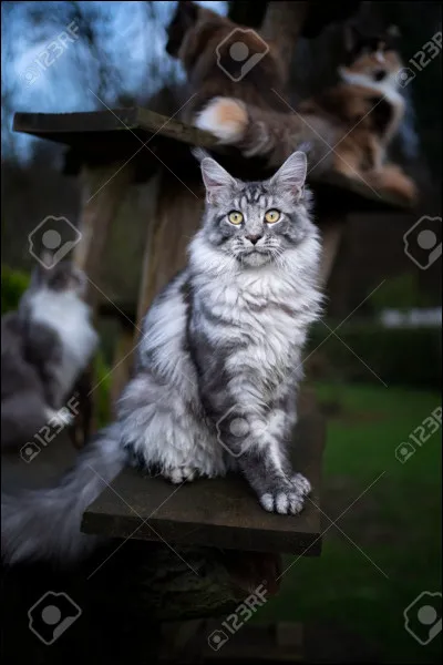 Vous avez gagné la bataille mais vous êtes blessés à de nombreux endroits :