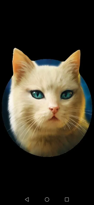 Votre mentor, Cur de Cèdre est une boule de poils autoritaire, votre première mission est de nettoyer la tanière des anciens vous :