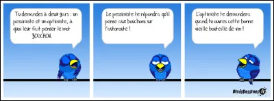 À quoi te fait penser le mot "bouchon" ?