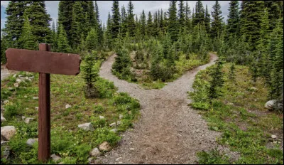 L'aventure t'appelle. Tu décides de tout abandonner pour partir avec :