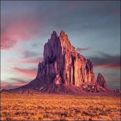 Un neck est le conduit d'une ancienne cheminée volcanique. Ship Rock en est un bel exemple, il est situé au Nouveau-Mexique :