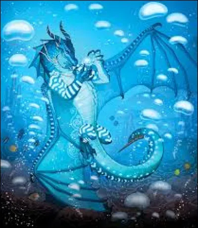 Qui sont les Ailes de Mer ?