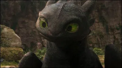 Quelle est l'espèce du dragon principal ?
