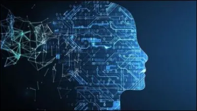 Quel est le domaine qui t'attire le plus ?