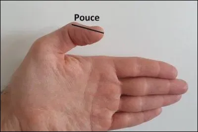 Comment s'appelle le pouce (vaut 2,54 cm) du système de mesure britannique ?
