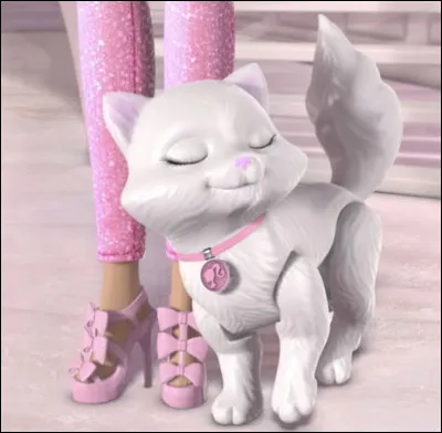 Aides-tu les chats errants ?