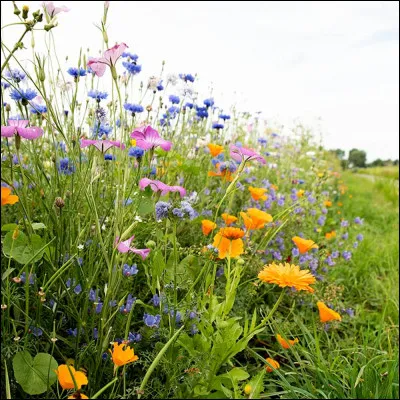 Quel est ton plus grand moteur ?