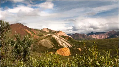 Comment Qibli trouve-t-il Péril au début dans le tome 8 ?