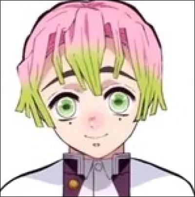 Qui est ce gar&ccedil;on aux cheveux rose et vert ?