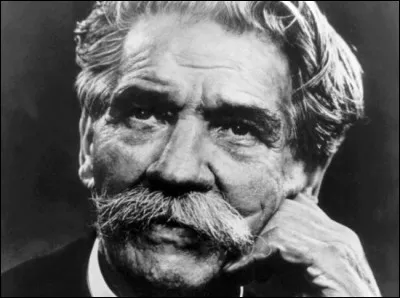 Albert Schweitzer était pasteur, mais également...