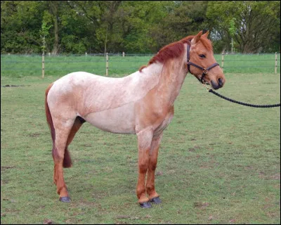 Quelle cathédrale de France est la plus haute ?