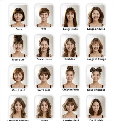 Quelle est la coupe de cheveux que tu as / ou que tu voudrais ?